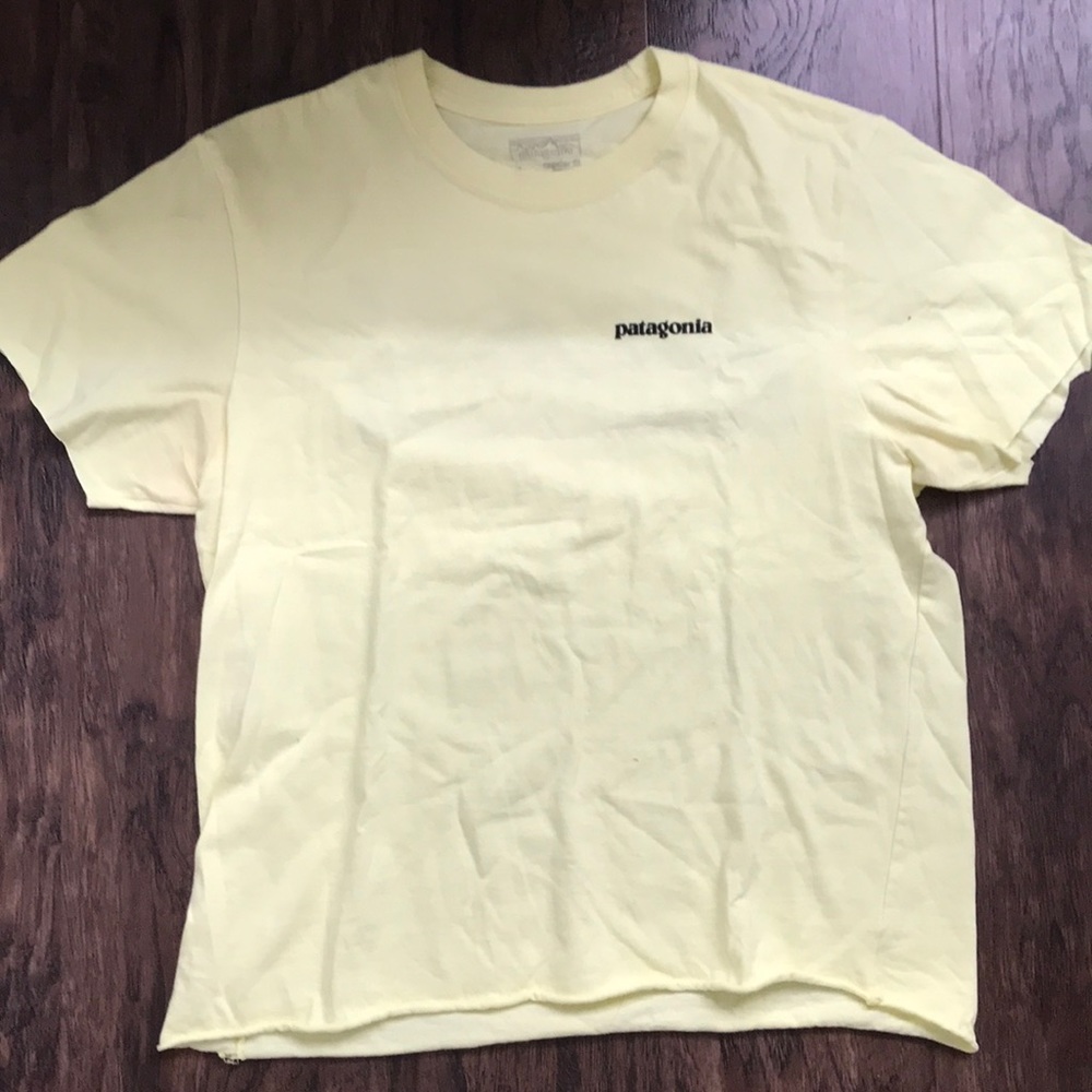Patagonia T-shirt